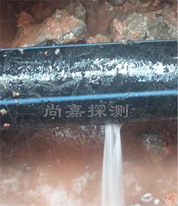寿阳消防管道漏点探测
